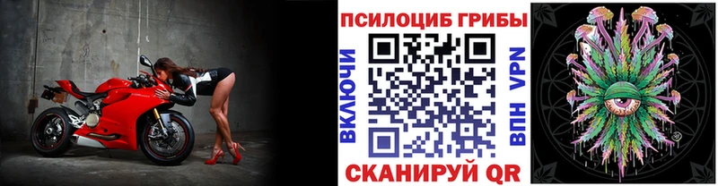 Купить где  Козьмодемьянск  Галлюциногенные грибы Psilocybe 